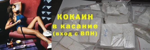 гашик Гусь-Хрустальный