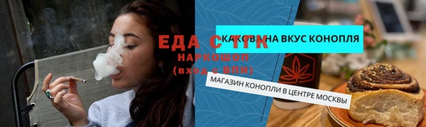 гашик Гусь-Хрустальный