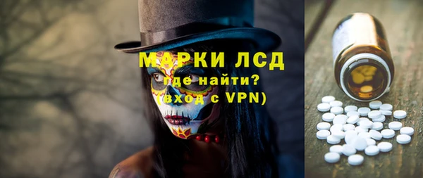 гашик Гусь-Хрустальный