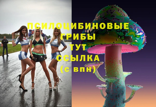 гашик Гусь-Хрустальный