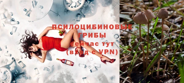бутират Гусиноозёрск