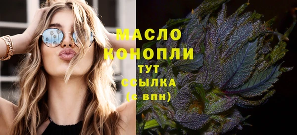 гашик Гусь-Хрустальный